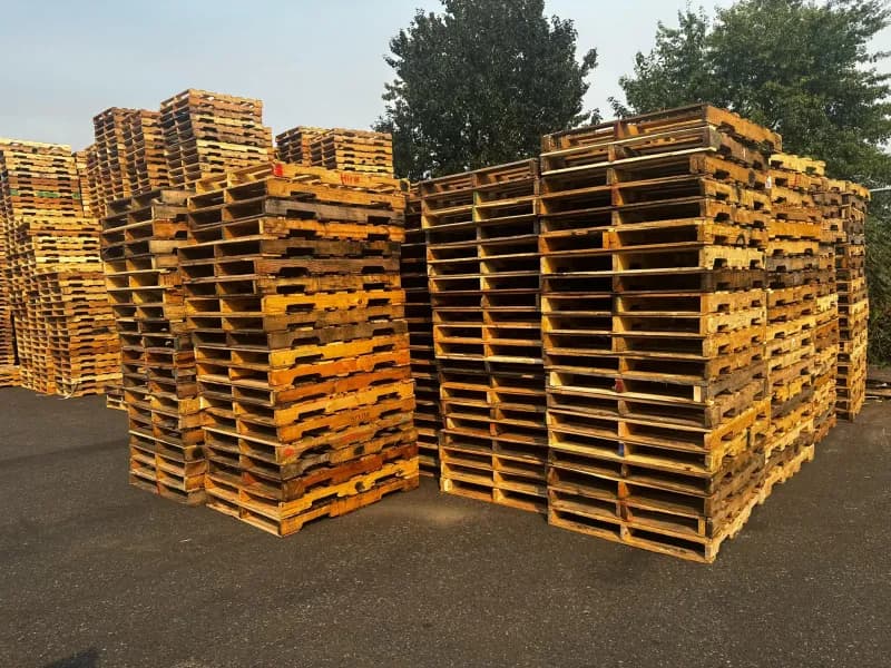 Multiple stacks of pallets in outdoor yard with golden sunset lighting