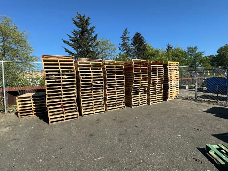 Pallet yard with rows of pallets standing upright